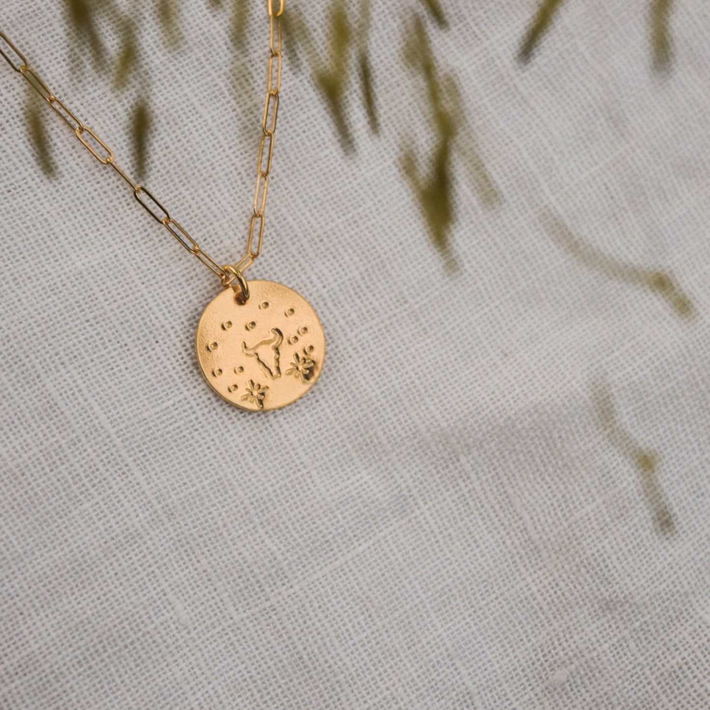 Gold Rodeo Necklace